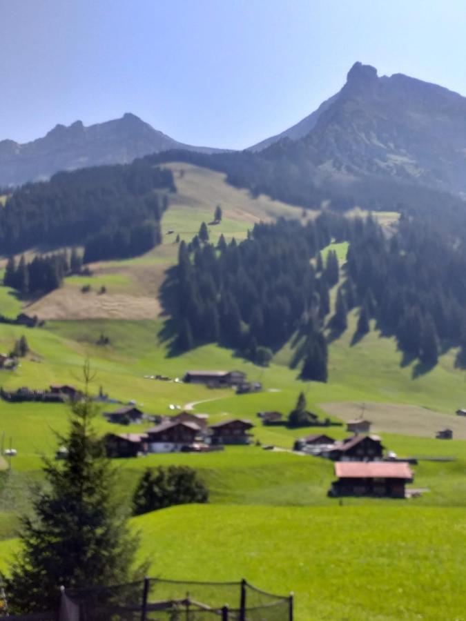 Chalet Aloa Leilighet Adelboden Eksteriør bilde