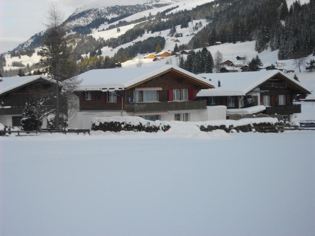 Chalet Aloa Leilighet Adelboden Eksteriør bilde