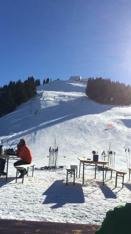 Chalet Aloa Leilighet Adelboden Eksteriør bilde