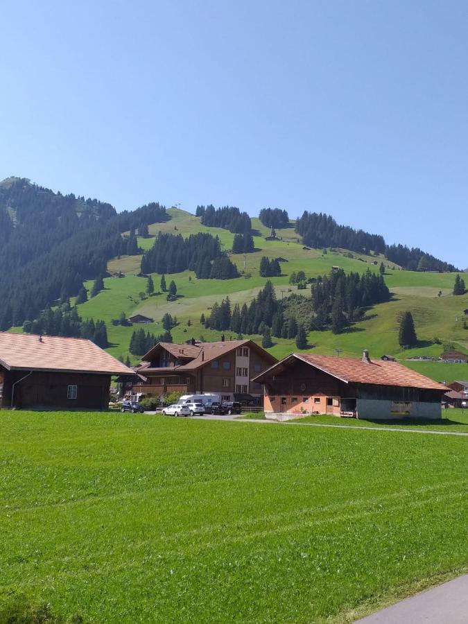 Chalet Aloa Leilighet Adelboden Eksteriør bilde