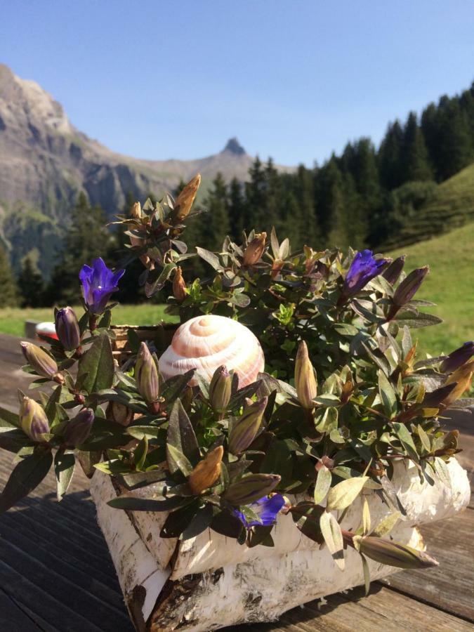 Chalet Aloa Adelboden Eksteriør bilde