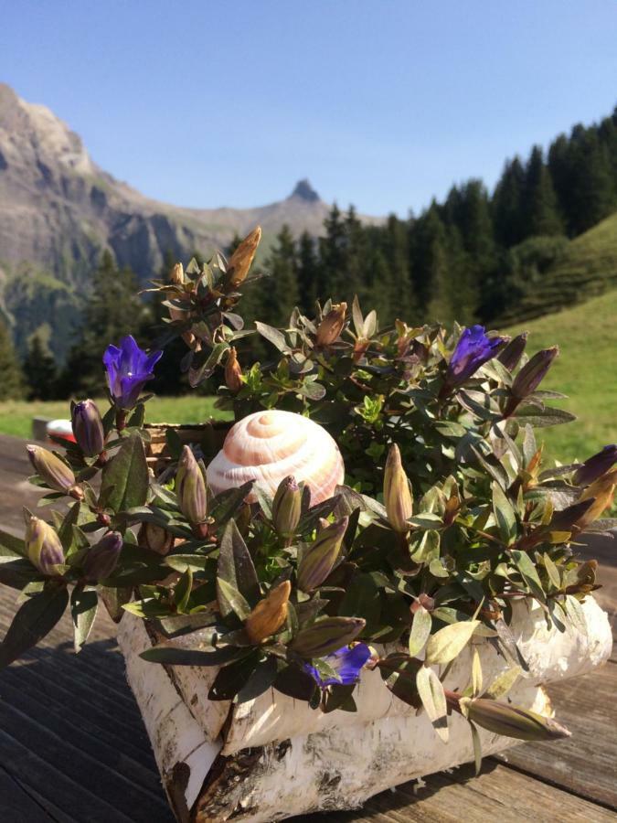 Chalet Aloa Leilighet Adelboden Eksteriør bilde